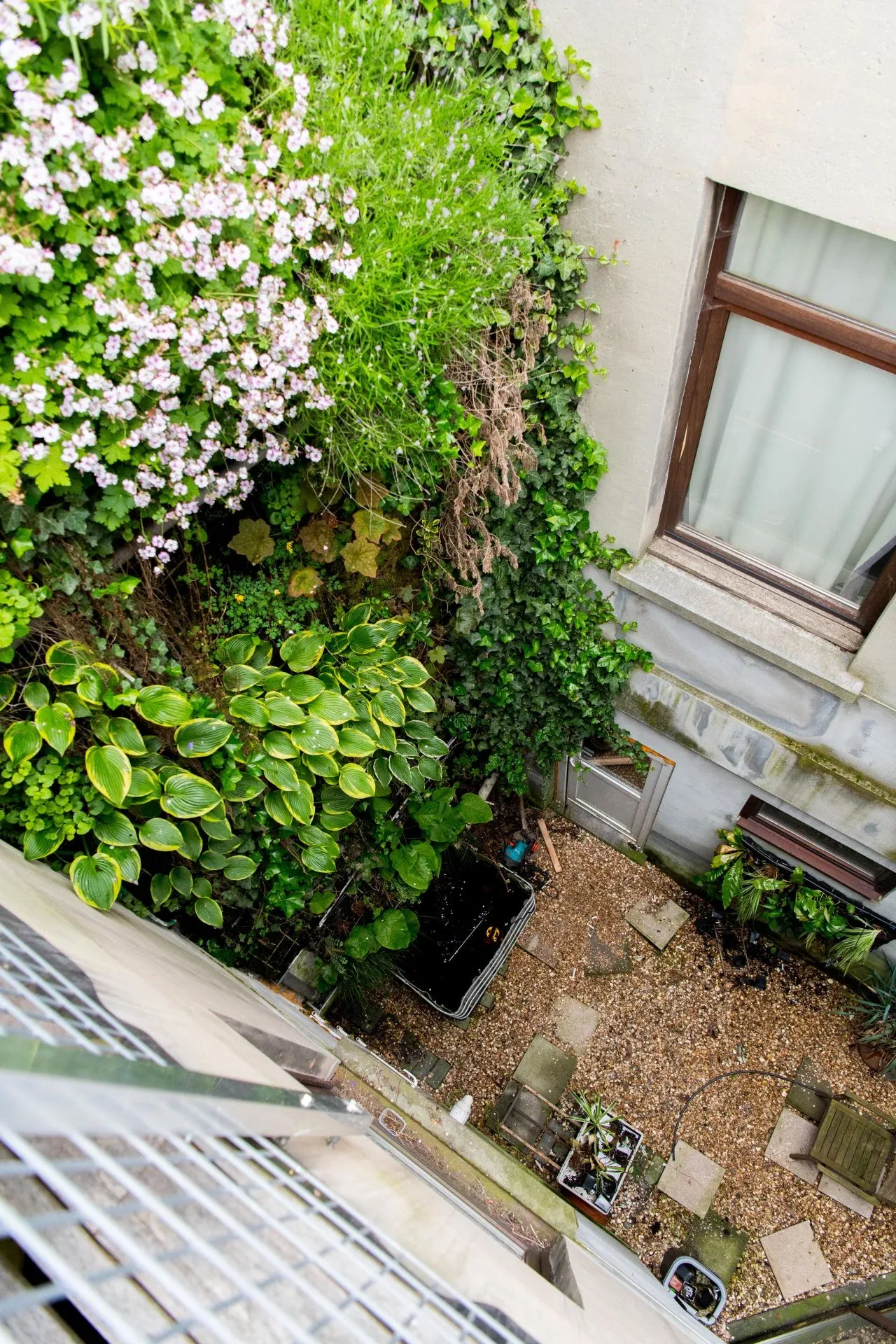 Gerealiseerde muurtuin