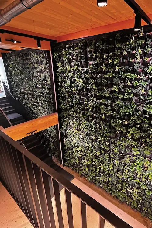 Groene muur tegen liftkoker