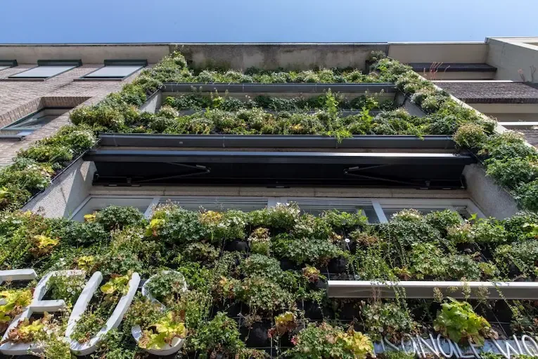 Gevelgroen op bedrijfsgebouw