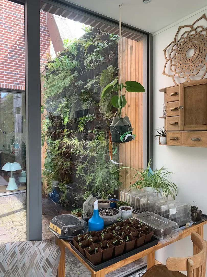 Plantenkeuze voor binnen