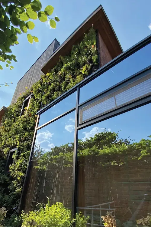 Muurtuin TVW — Total Value Wall — groen én blauw