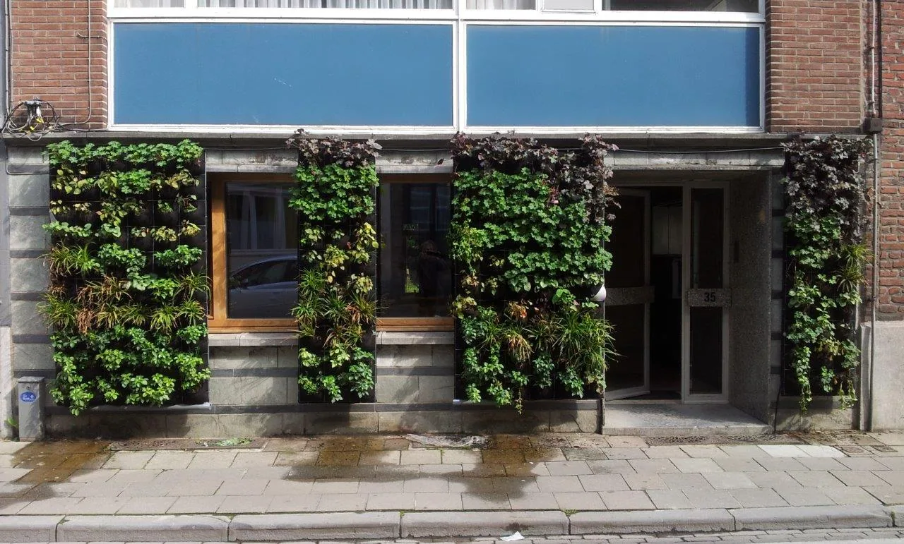 Groene muur op terras