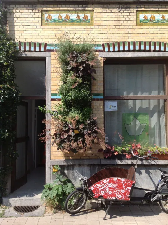 Geluidsisolatie met een groene wand: hoe groen lawaai dempt