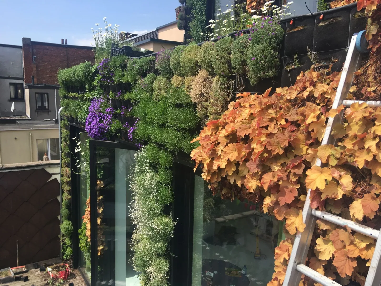 Muurtuin voor tuinarchitecten