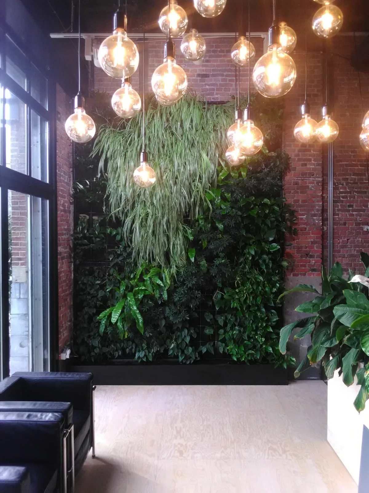 Plantenmuur voor evenement