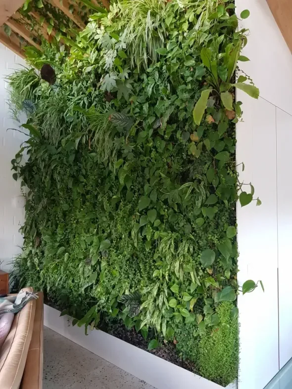 Verplaatsbare groene muur