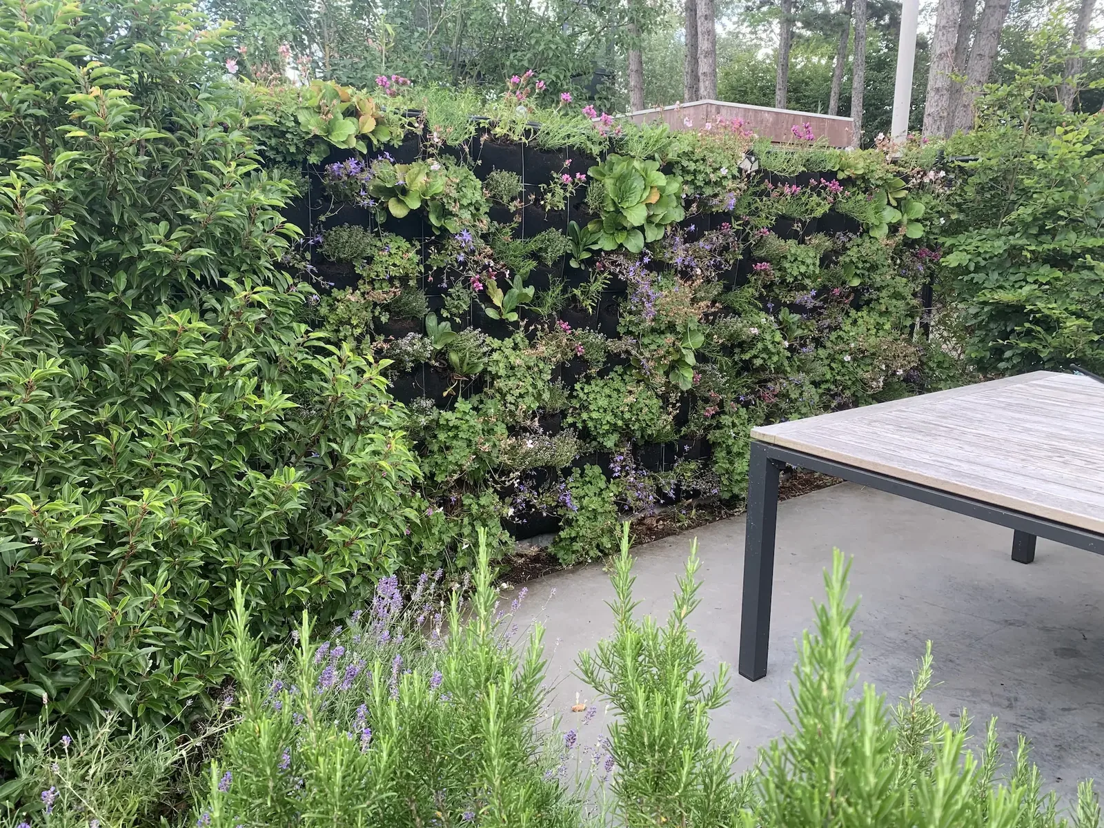 Gerealiseerde muurtuin